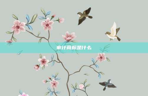 审计商标是什么