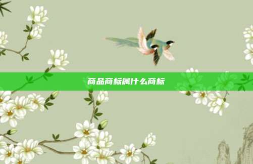 商品商标属什么商标