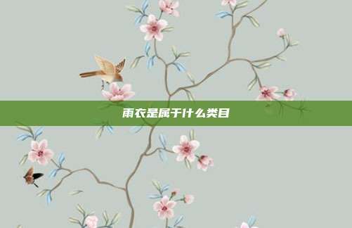 雨衣是属于什么类目
