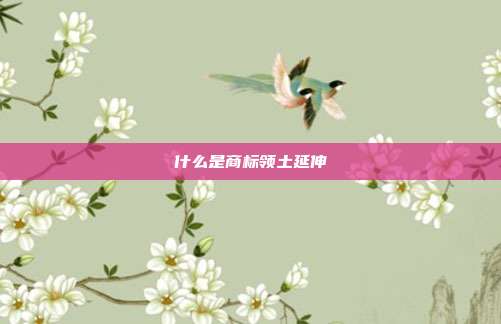 什么是商标领土延伸