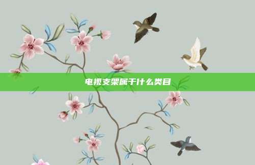 电视支架属于什么类目