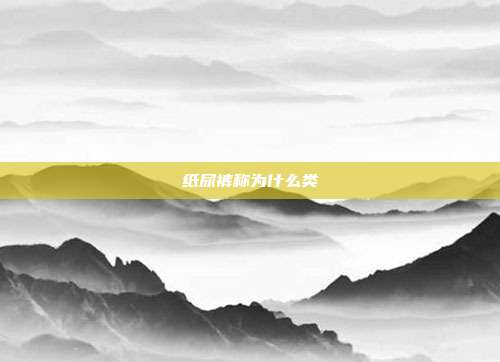 纸尿裤称为什么类