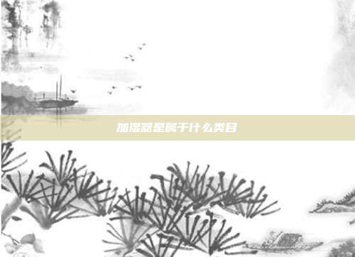 加湿器是属于什么类目