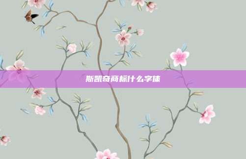 斯凯奇商标什么字体