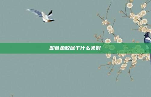 即食鱼胶属于什么类别