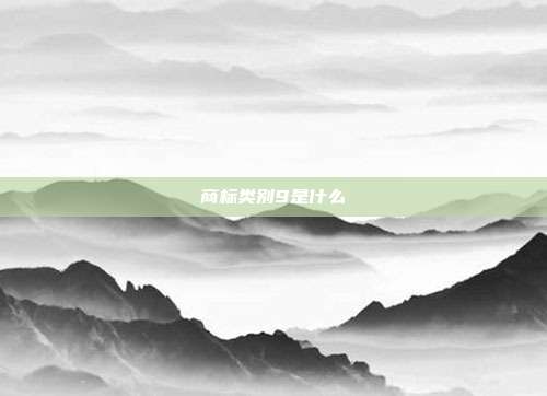 商标类别9是什么