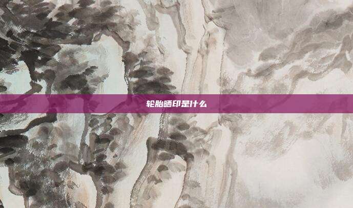 轮胎晒印是什么