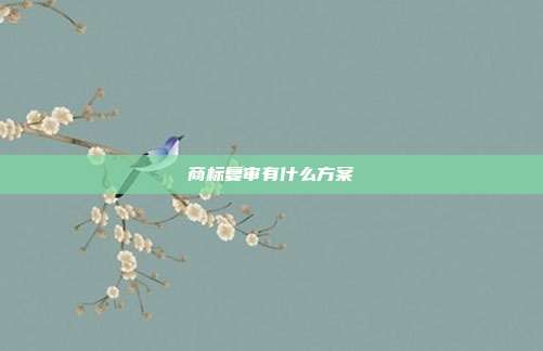 商标复审有什么方案