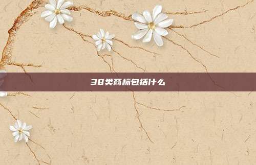 38类商标包括什么