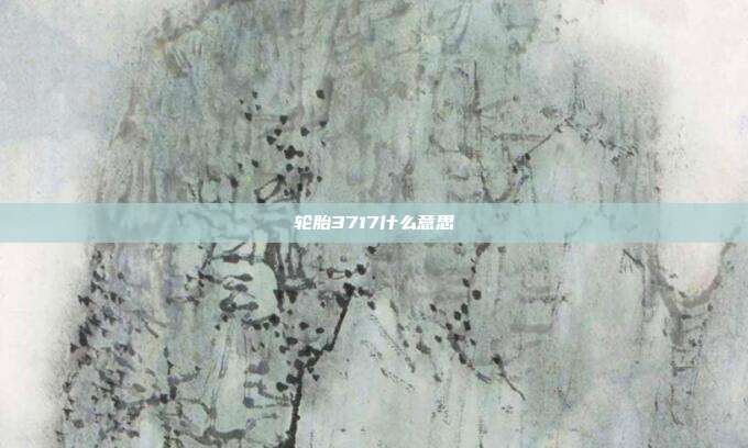 轮胎3717什么意思