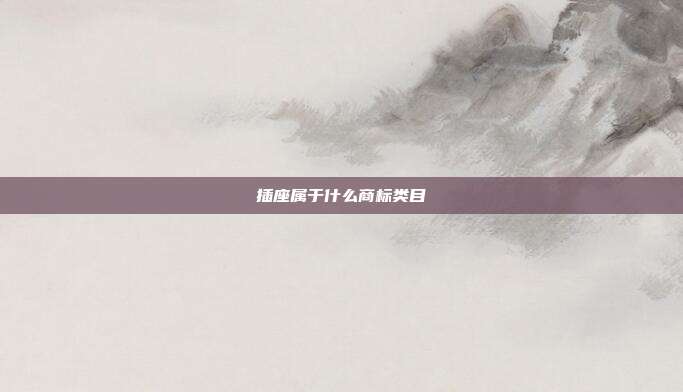 插座属于什么商标类目