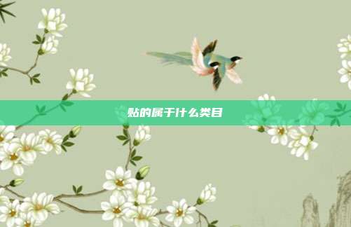 贴的属于什么类目