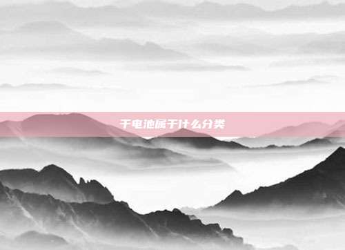 干电池属于什么分类