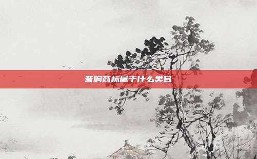 音响商标属于什么类目