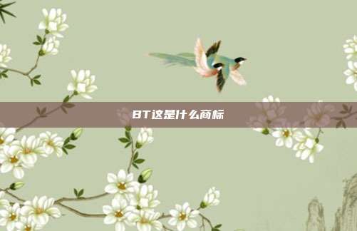 BT这是什么商标
