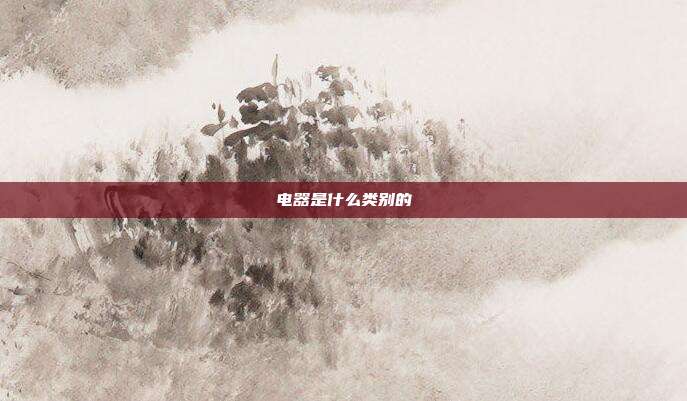 电器是什么类别的