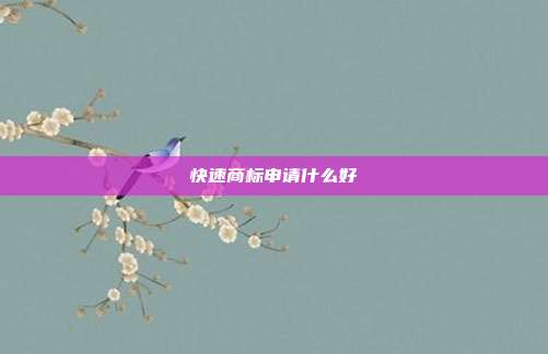 快速商标申请什么好