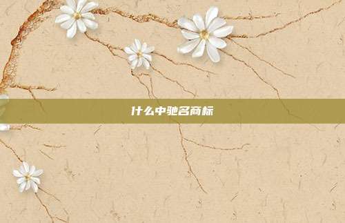 什么中驰名商标