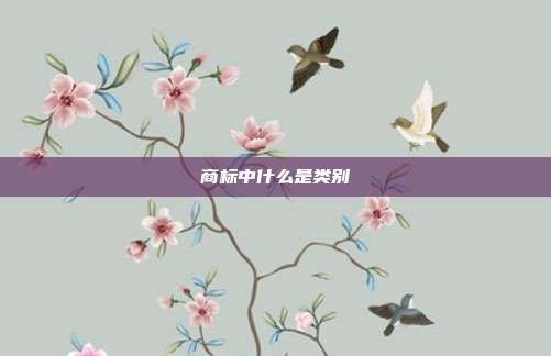 商标中什么是类别