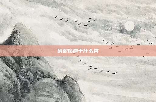 硝酸铋属于什么类