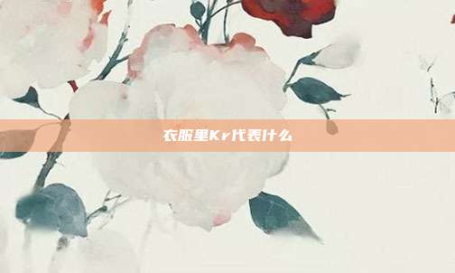 衣服里Kr代表什么