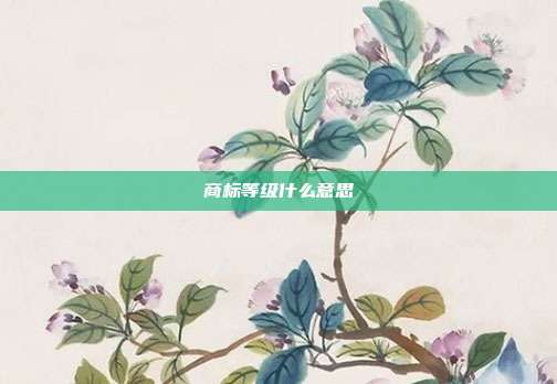 商标等级什么意思
