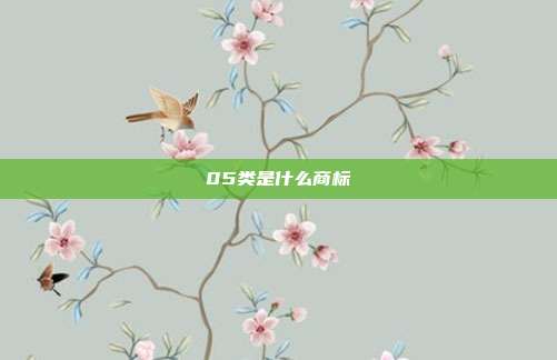 05类是什么商标