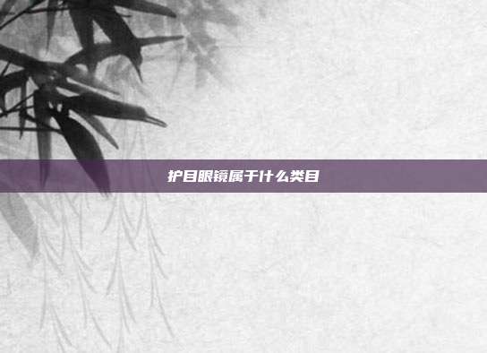 护目眼镜属于什么类目