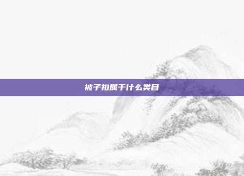 被子扣属于什么类目