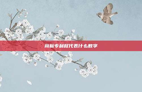 商标专利权代表什么数字