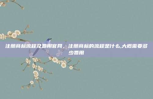 注册商标流程及费用官网,注册商标的流程是什么,大概需要多少费用