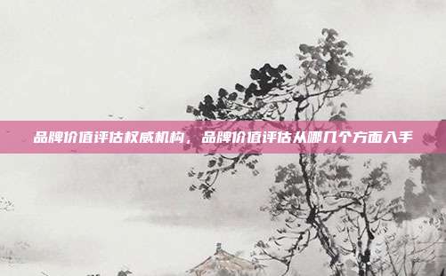 品牌价值评估权威机构,品牌价值评估从哪几个方面入手