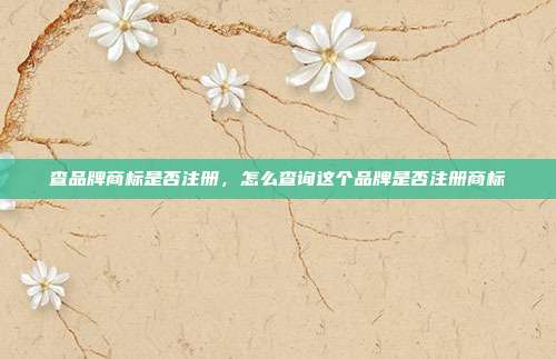 查品牌商标是否注册,怎么查询这个品牌是否注册商标