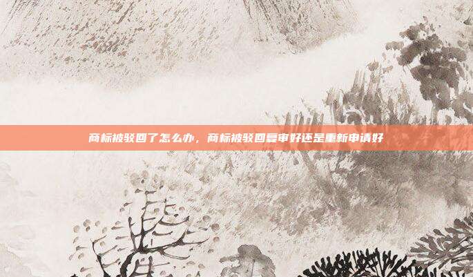 商标被驳回了怎么办,商标被驳回复审好还是重新申请好
