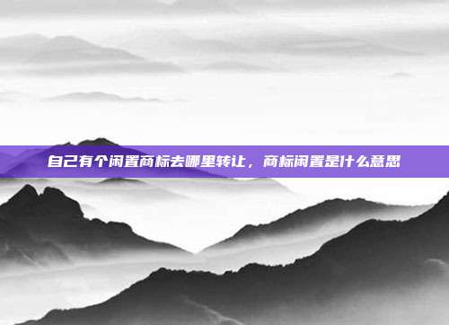 自己有个闲置商标去哪里转让,商标闲置是什么意思