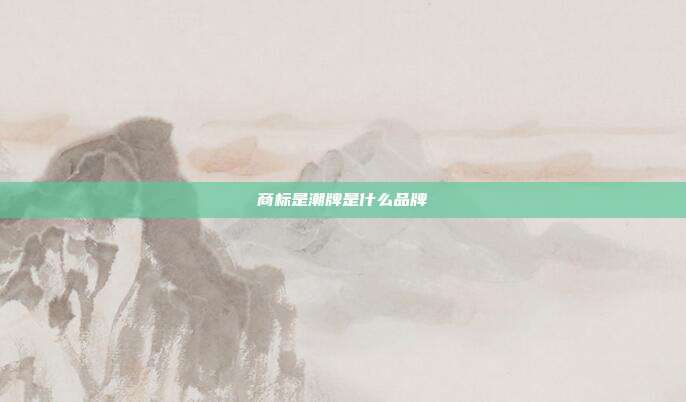 商标是潮牌是什么品牌