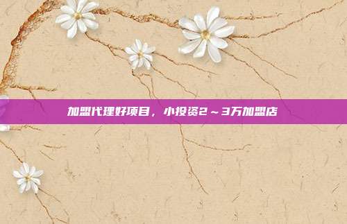 加盟代理好项目,小投资2~3万加盟店