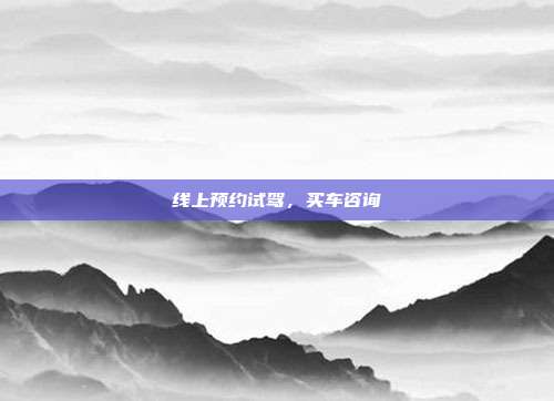 线上预约试驾,买车咨询
