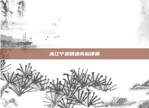 浙江宁波精通商标律师
