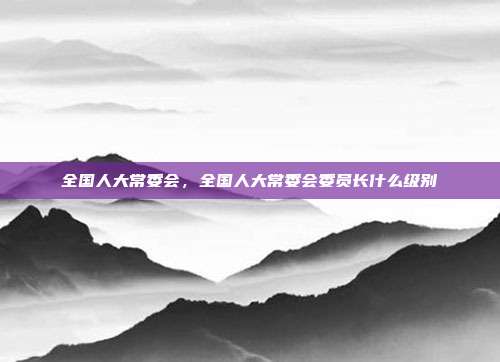 全国人大常委会,全国人大常委会委员长什么级别