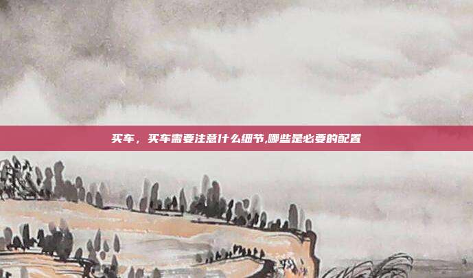 买车,买车需要注意什么细节,哪些是必要的配置