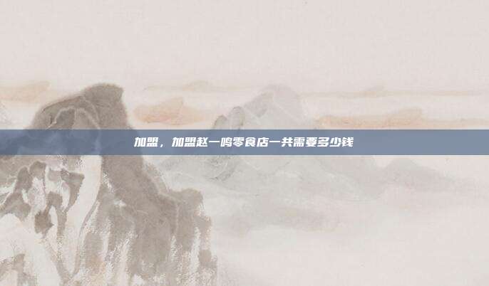 加盟,加盟赵一鸣零食店一共需要多少钱
