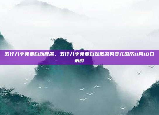 五行八字免费自动取名,五行八字免费自动取名男婴儿国历11月10日未时