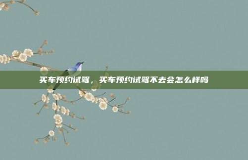 买车预约试驾,买车预约试驾不去会怎么样吗
