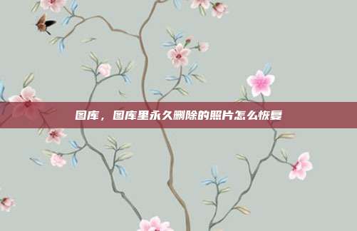 图库,图库里永久删除的照片怎么恢复