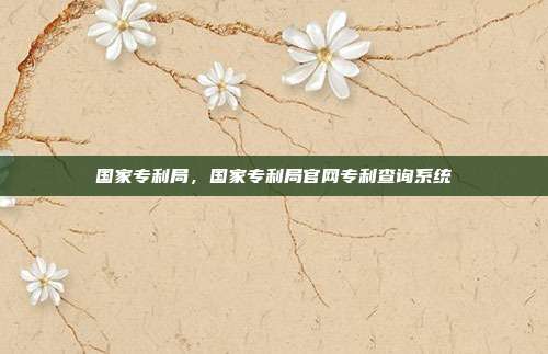 国家专利局,国家专利局官网专利查询系统