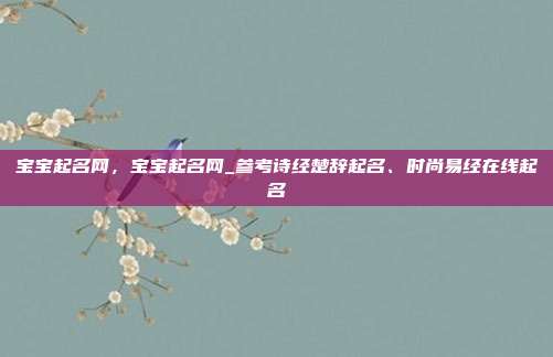 宝宝起名网,宝宝起名网_参考诗经楚辞起名、时尚易经在线起名