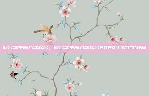 取名字生辰八字起名,取名字生辰八字起名2024年男宝宝好吗
