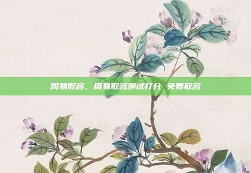 周易取名,周易取名测试打分 免费取名