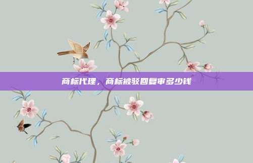 商标代理,商标被驳回复审多少钱